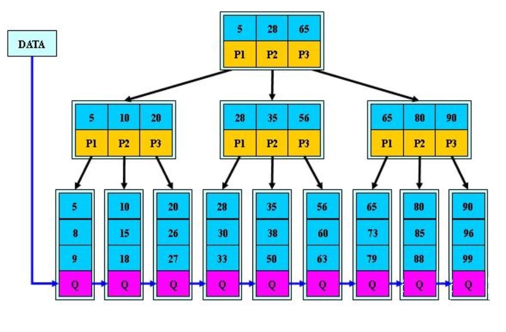 图三：B+ 树(后者定义)